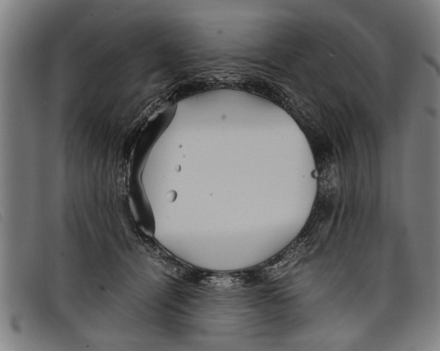 X0000097800464200804041318