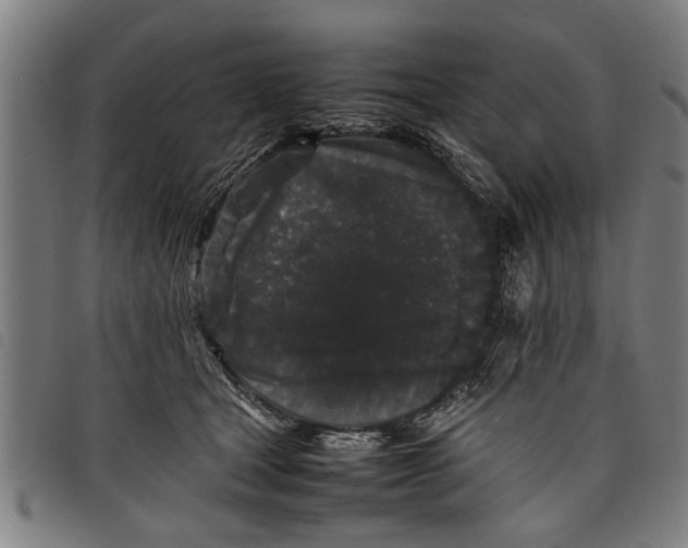 X0000097800465200804041318