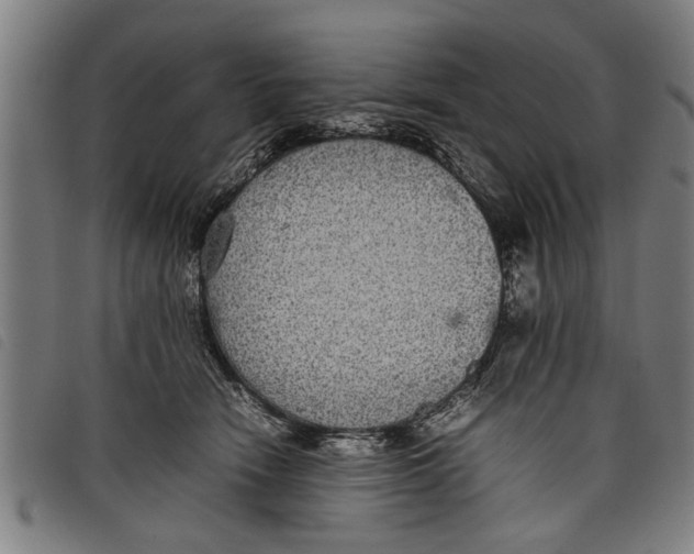 X0000097800466200804041318