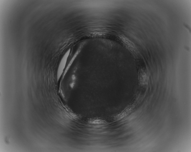 X0000097800467200804041318