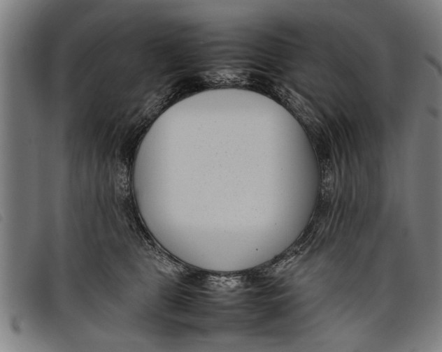 X0000097800469200804041318