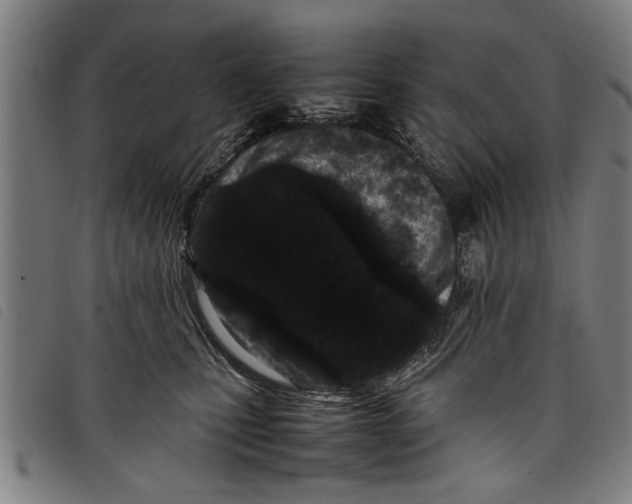 X0000097800471200804041318