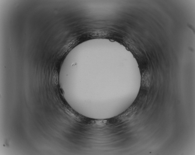 X0000097800474200804041318