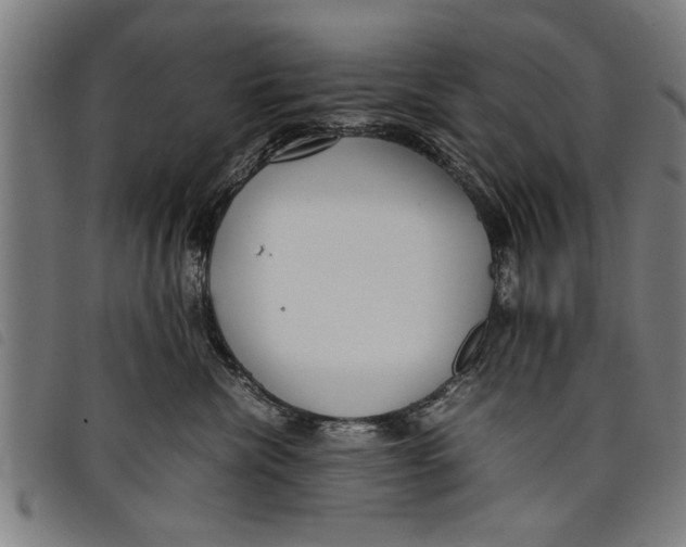 X0000097800476200804041318