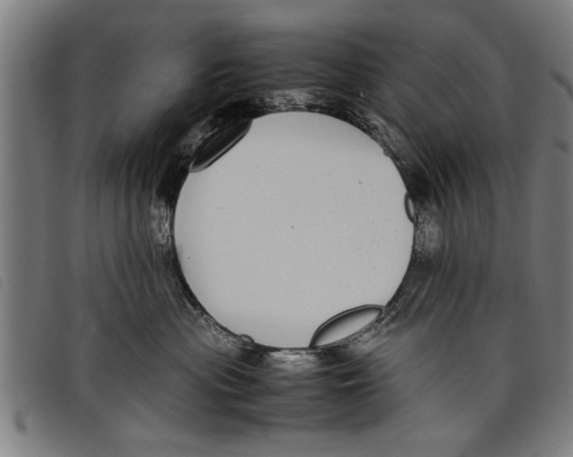 X0000097800477200804041318