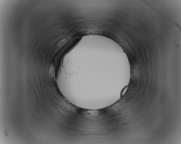 X0000097800478200804041318