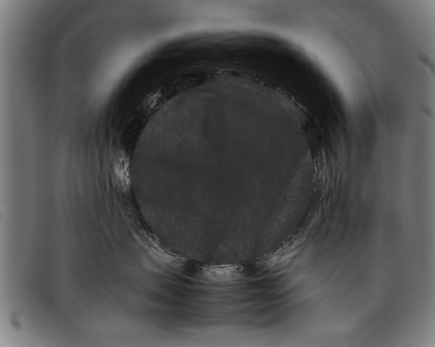 X0000097800479200804041318