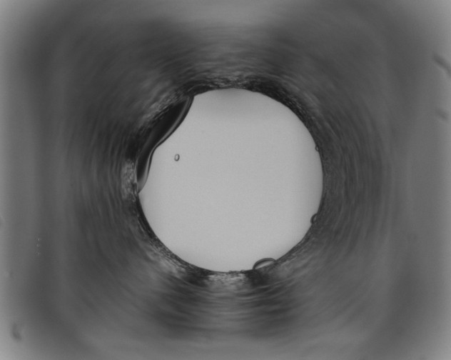 X0000097800480200804041318