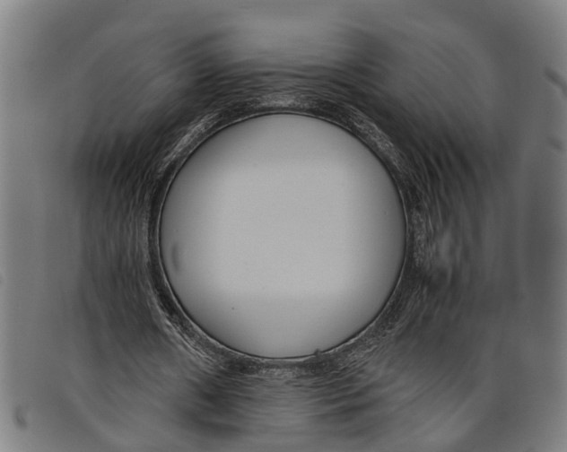 X0000097800482200804041318