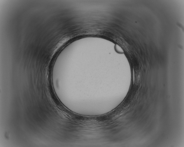 X0000097800483200804041318