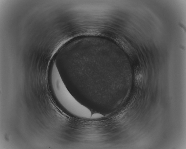 X0000097800484200804041318