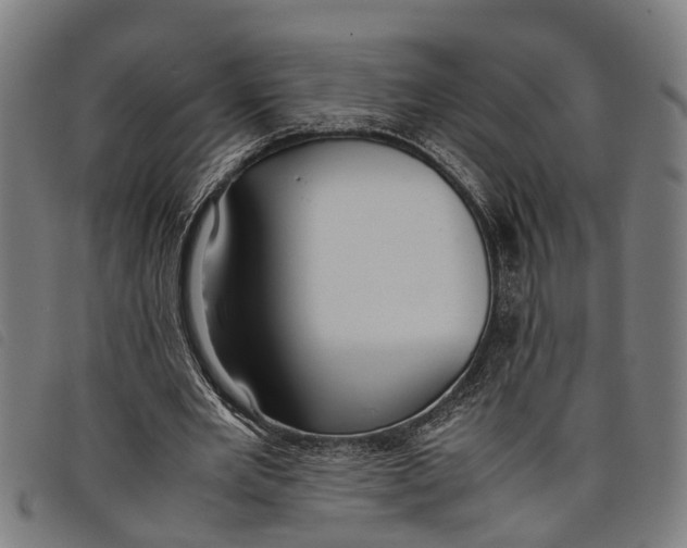 X0000097800485200804041318