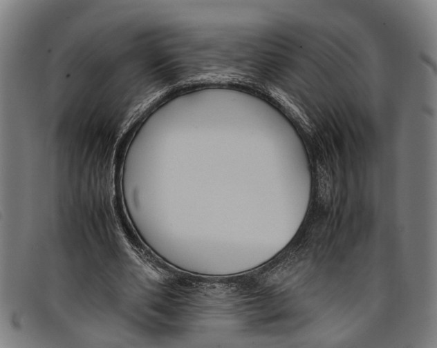 X0000097800486200804041317