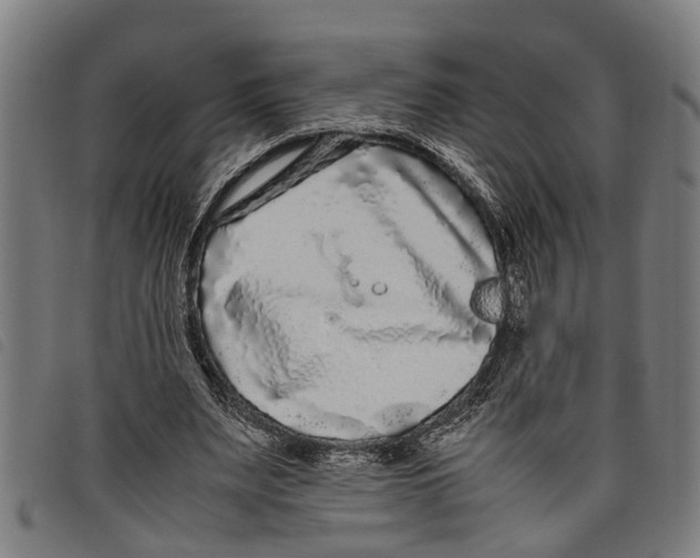 X0000097800487200804041317