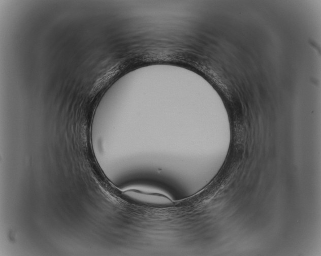 X0000097800489200804041317