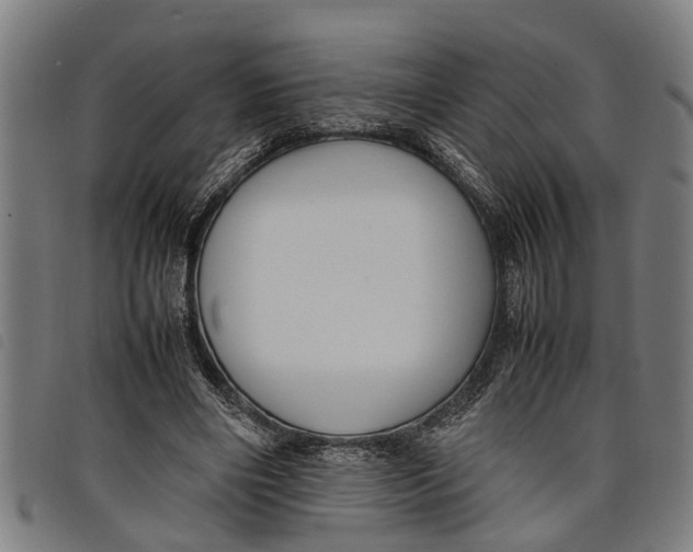 X0000097800490200804041317