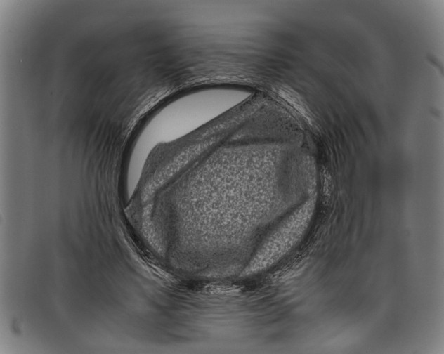 X0000097800491200804041317