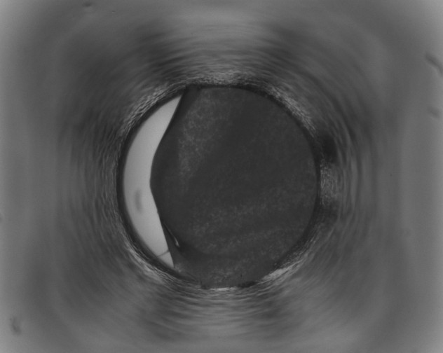 X0000097800493200804041317