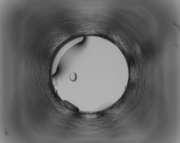 X0000097800495200804041317