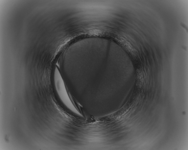 X0000097800496200804041317