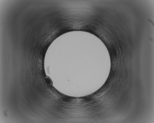 X0000097800497200804041317