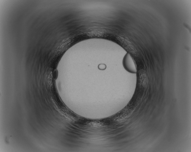 X0000097800498200804041317