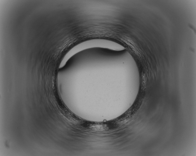 X0000097800499200804041317