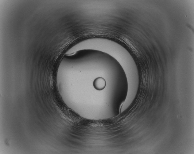 X0000097800500200804041317