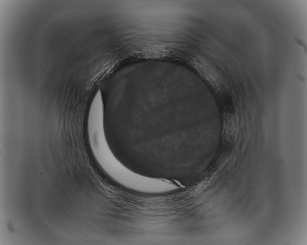 X0000097800501200804041317