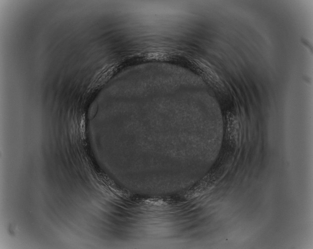 X0000097800502200804041317