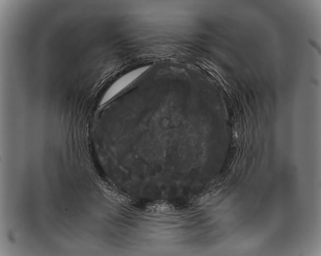 X0000097800503200804041317