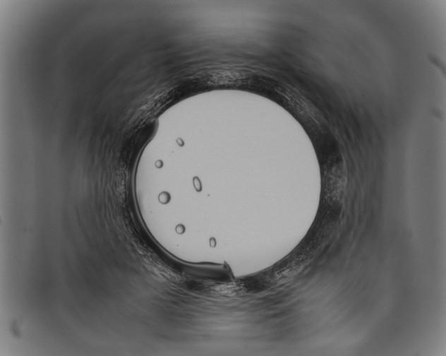 X0000097800505200804041317