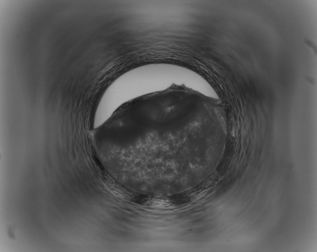 X0000097800507200804041317