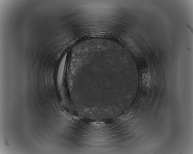 X0000097800508200804041317