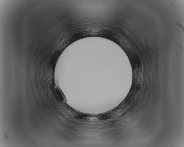 X0000097800509200804041317