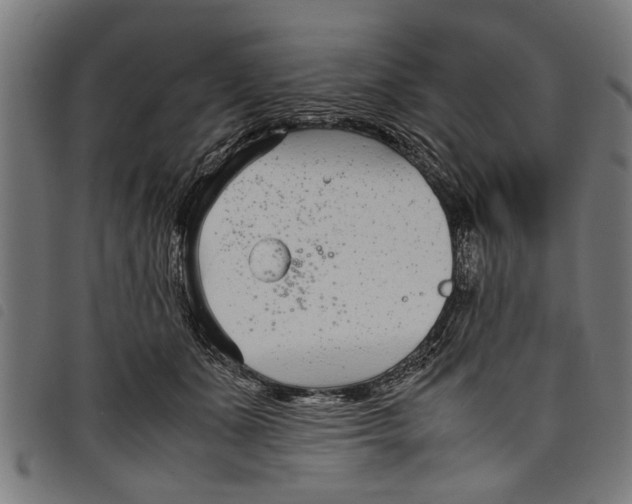 X0000097800511200804041317