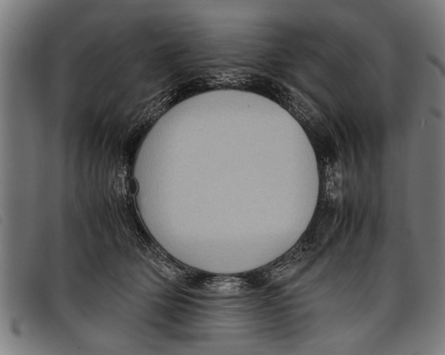 X0000097800514200804041317