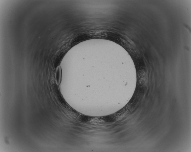 X0000097800515200804041317