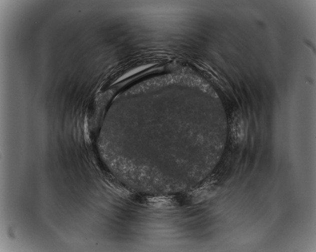 X0000097800516200804041317