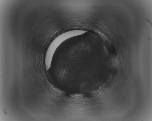 X0000097800517200804041317