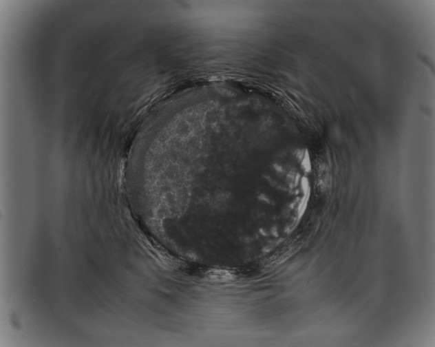 X0000097800519200804041317