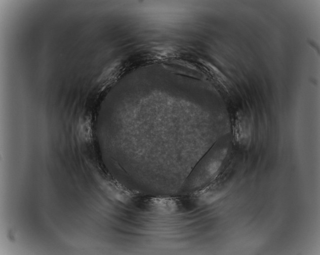 X0000097800520200804041317