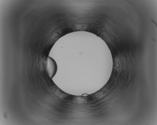 X0000097800522200804041317