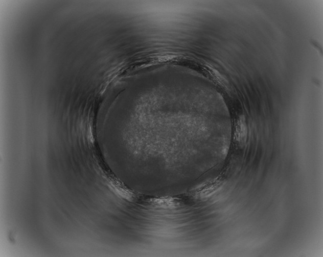 X0000097800524200804041317