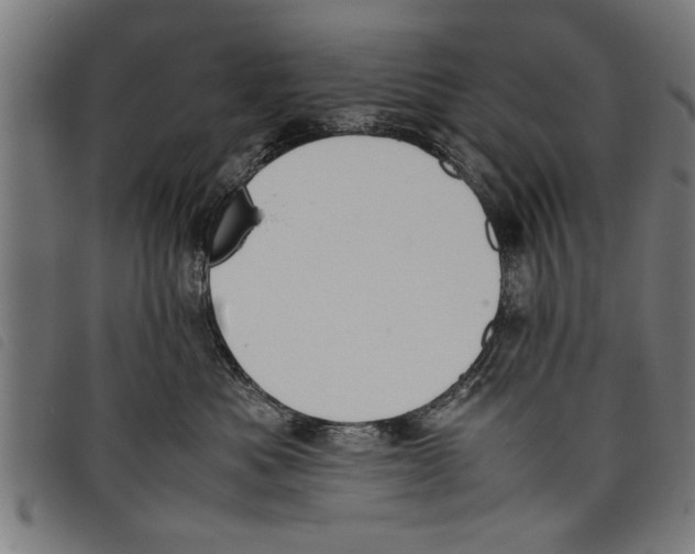 X0000097800525200804041317