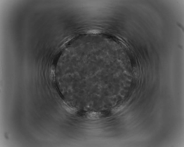 X0000097800527200804041317