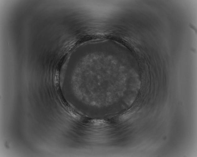 X0000097800528200804041317