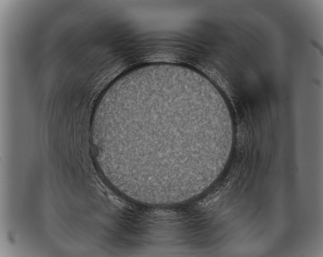 X0000097800529200804041316