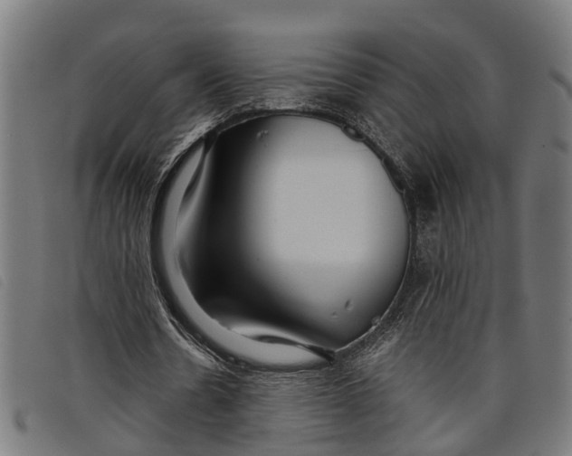 X0000097800530200804041316