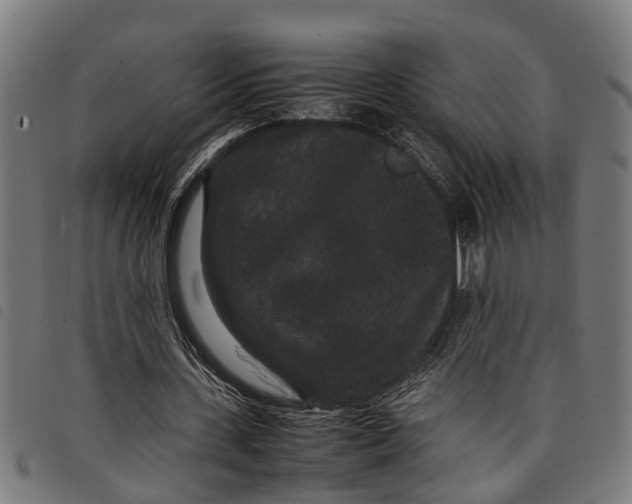 X0000097800531200804041316